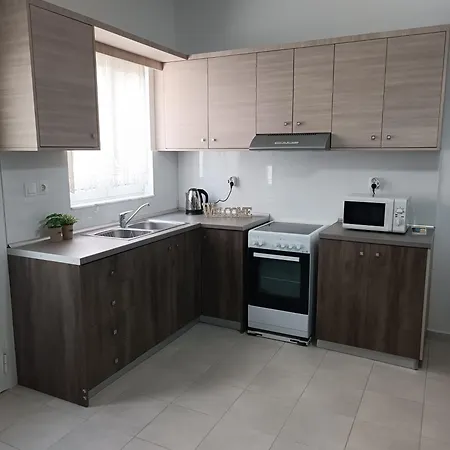 Apartment Platanou 21 *